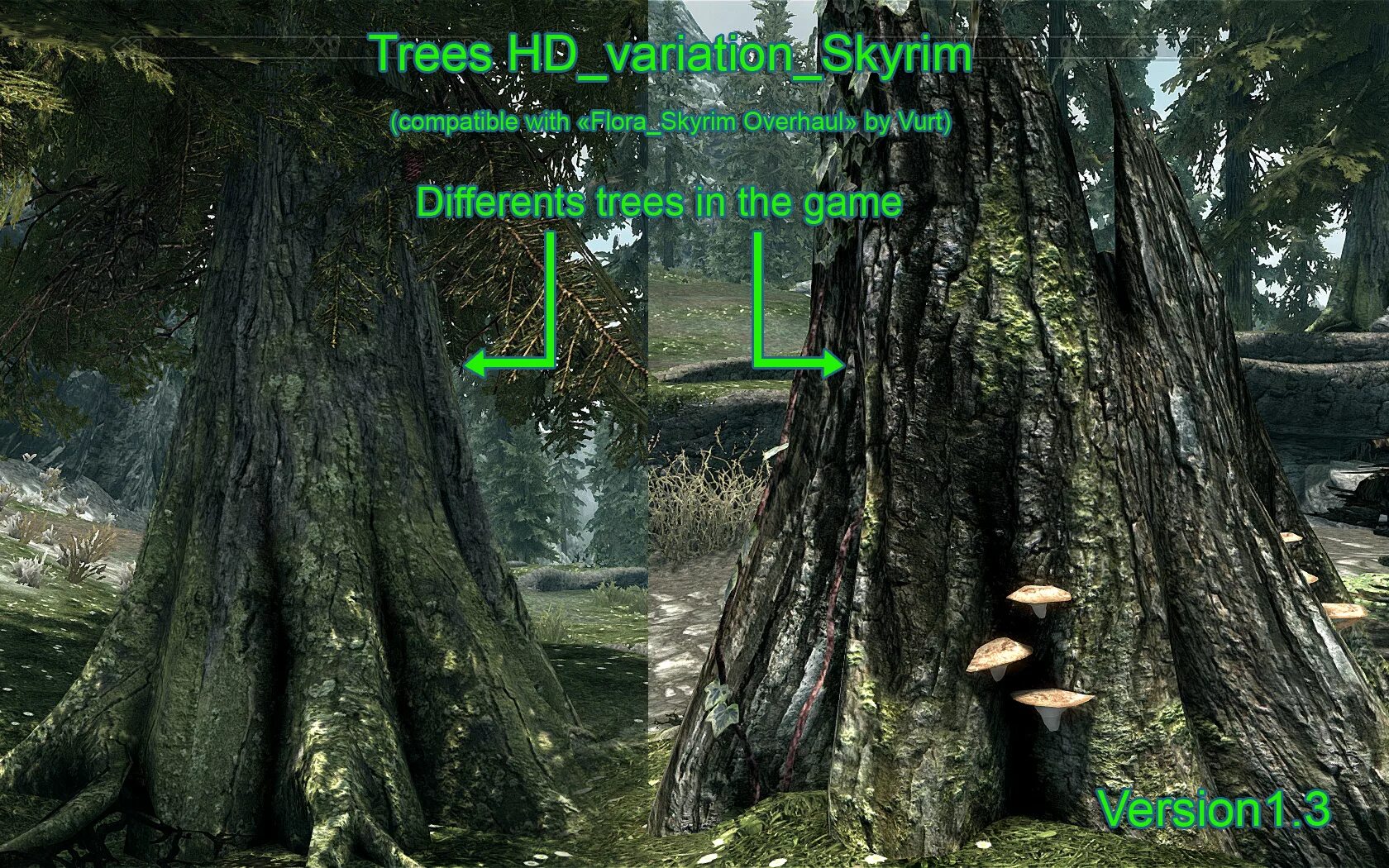 Skyrim мод на деревья. Дерево Скайрима. Скайрим дерево. 3д деревья скайрим се. Trees skyrim