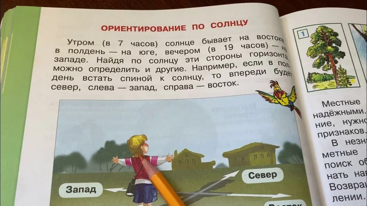 Окружающий мир второй класс страница 101. Ориентируемся на местности 2 класс. Ориентир на местности 2 класс окружающий. Окружающий мир ориентирование на местности. Ориентирование 2 класс окружающий мир.