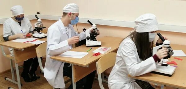 Рязгму гистология