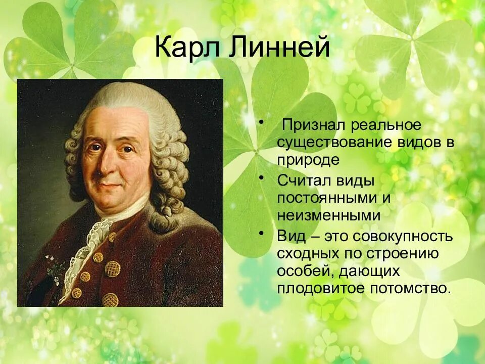 Линое