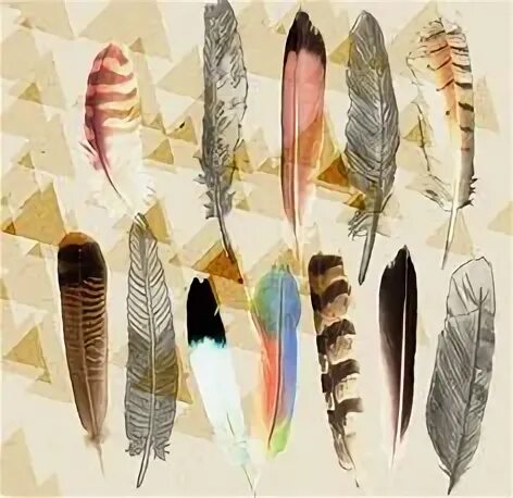 Перья индейца. Рамка с перьями персиковая. Язык коснеет а перо. Feather. Птичье перо.