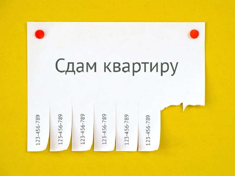 Сдам ж. Сдам квартиру. сдается квартира. сдается квартира картинка. картинки сдам квартиру для объявлений.