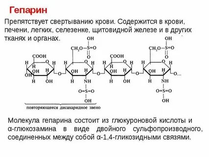 Гепарин биологическая роль