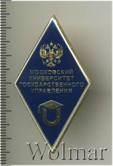 Открытый университет черномырдина. Значок о высшем образовании МГОУ. Московский государственный университет значок. Московский государственный открытый университет значок. МЭСИ нагрудный знак.