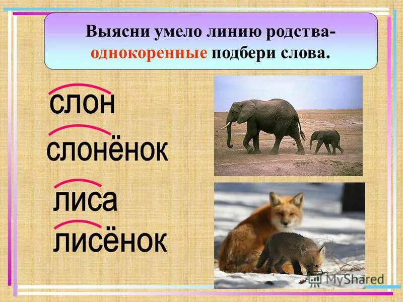 родственные слова к слову рыба. корень в слове медведь и медвежонок. родственные слова к слову волк. родственные слова к слову волк. корень слова медведь и медвежий.