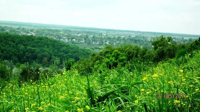 краснодарский край, мостовский район, станица ярославская. краснодарский край мостовской район станица ярославская. аква тоника станица ярославская. станица ярославская краснодарский край. краснодарский край мостовской район станица ярославская.