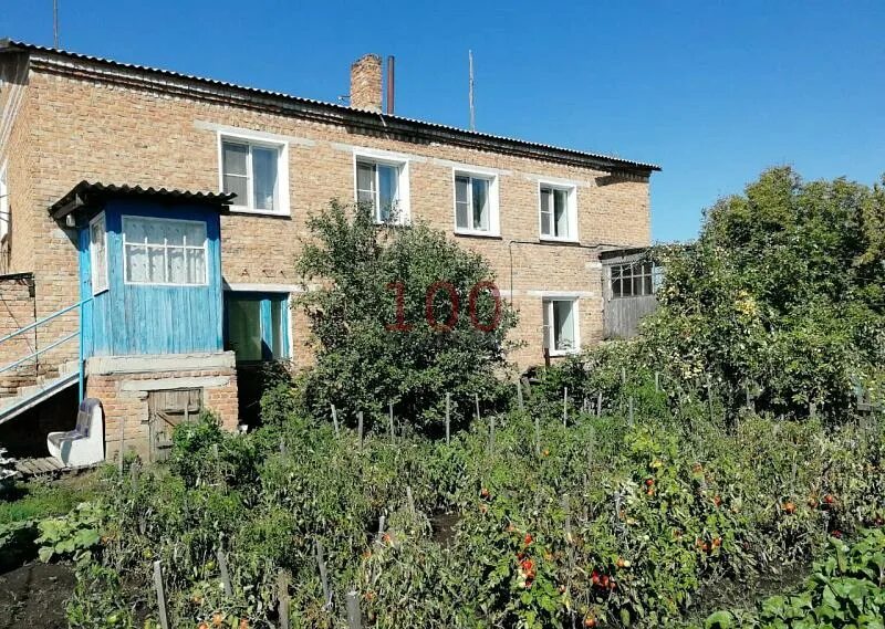 Авито горняк локтевский район алтайский край. Зеленая 18. Авито алтайский край локтевский район г. Улица береговая алтайский край горняк. Общежитие горняк локтевский некрасова 29.