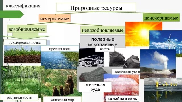 Исчерпаемые ресурсы возобновляемые и невозобновляемые. Природные ресурсы. Возобновимые природные ресурсы. Возобновляемые и невозобновляемые природные ресурсы. Исчерпаемые природные ресурсы и неисчерпаемые природные ресурсы.