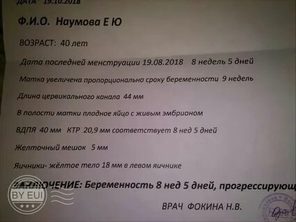 Размер матки на 10 неделе беременности