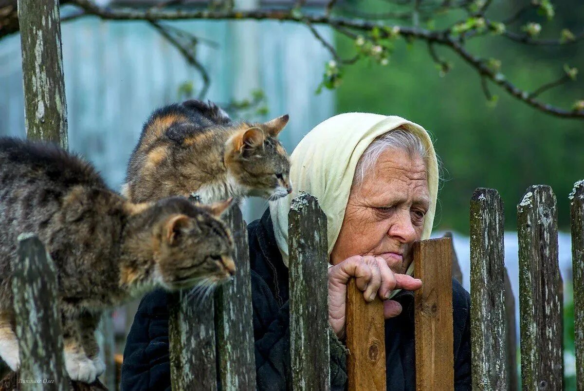 Бабушка и кот в деревне. Старушка с котом. Бабушка с кошкой. Бабуля с котиком.