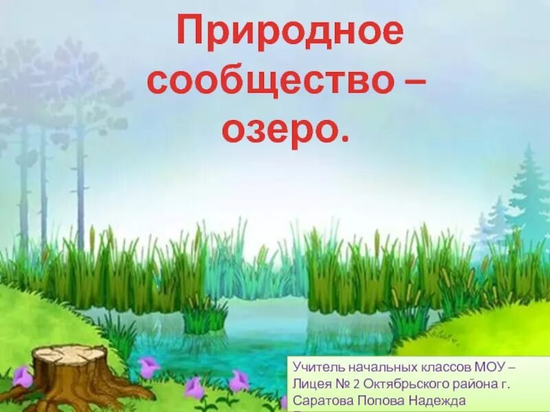 Природные сообщества 3 класс окружающий мир тема. Природные сообщества. Природное сообщество озеро. Сообщество- озеро природное сообщество. Природное сообщество озеро 3 класс окружающий мир.