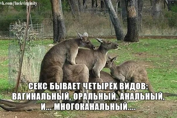 Молодые люди делают шпили-вили несмотря на предъявы
