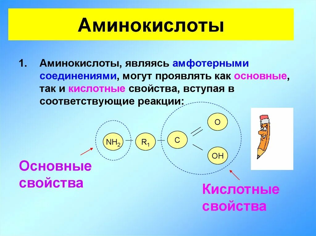 Амфотерные соединения 11 класс. Аминокислоты амфотерные соединения. Аминокислоты амфотерные органические соединения. Аминокислоты как амфотерные органические соединения. Аминокислоты проявляют свойства и основные и кислотные.