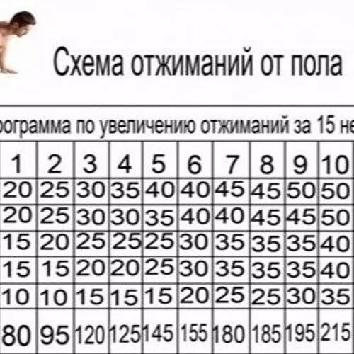 Как отжиматься от пола с нуля