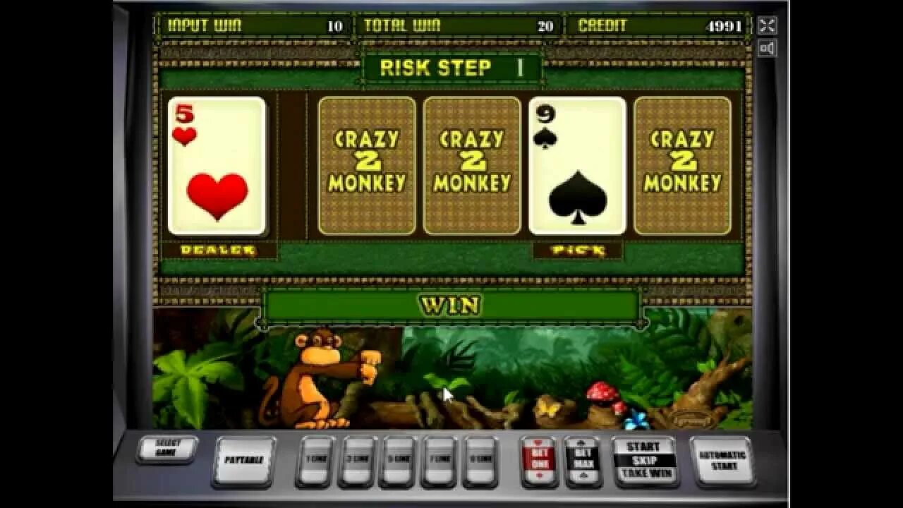 Crazy monkey 2