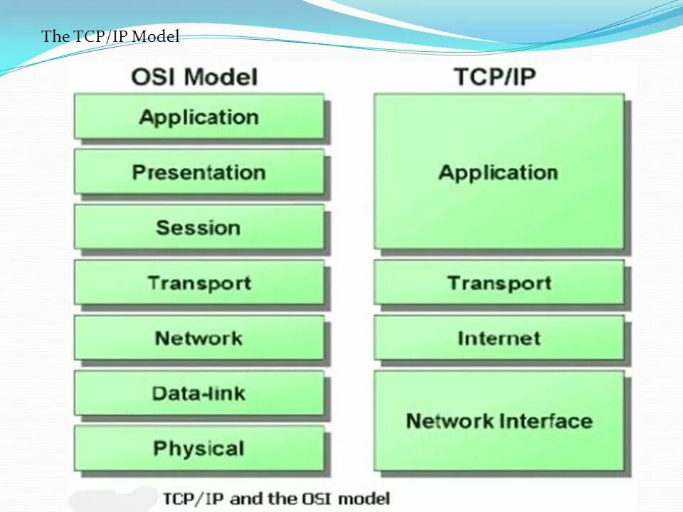 Русский tcp. Русский tcp