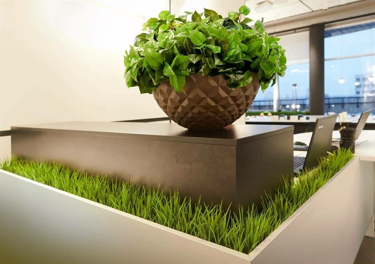 Биотехнологии в экологии. Фитостена в интерьере. Растения в пробирках. Биотехнологии в экологии. Био растения.