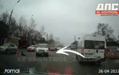 Благовещенск сбитые люди