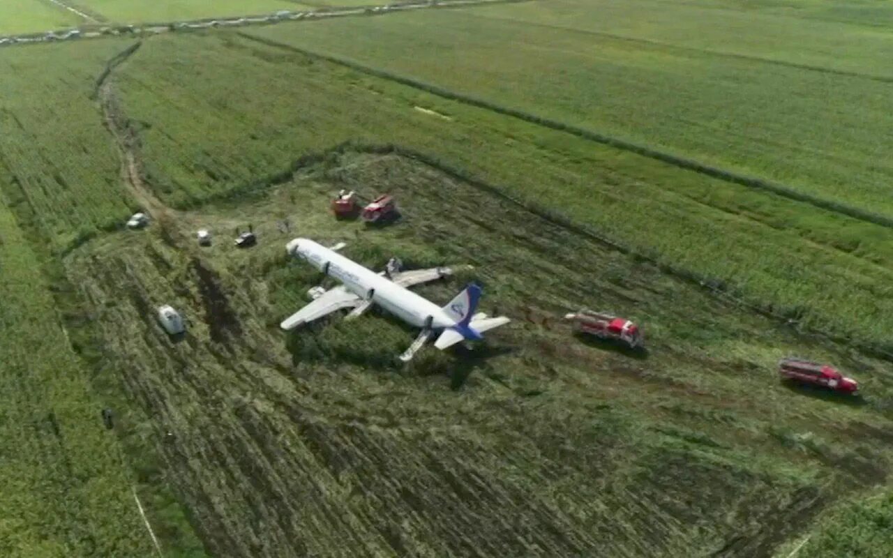 Самолет какой район. Аэробус 321 кукурузное поле. Самолет а321 в кукурузном поле. Самолет в кукурузном поле в Жуковском. Посадка на кукурузное поле а 321.