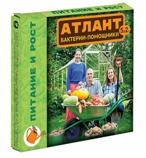 Атлант для рассады