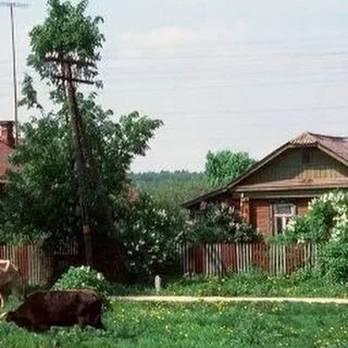 Также сельский
