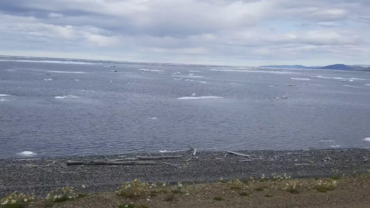 Река бассейна восточно сибирского моря. Певек Восточно-Сибирское море. Чаунская губа Восточно-Сибирское море. Восточно-Сибирском мор. Певек Вечная мерзлота.