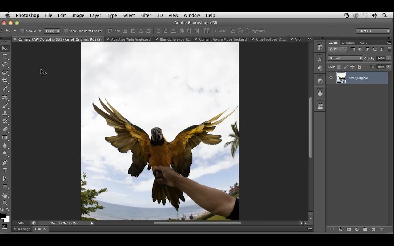 5. Установка adobe photoshop. Adobe photoshop 5. Фотошоп cs615. Adobe photoshop cs5 номер.