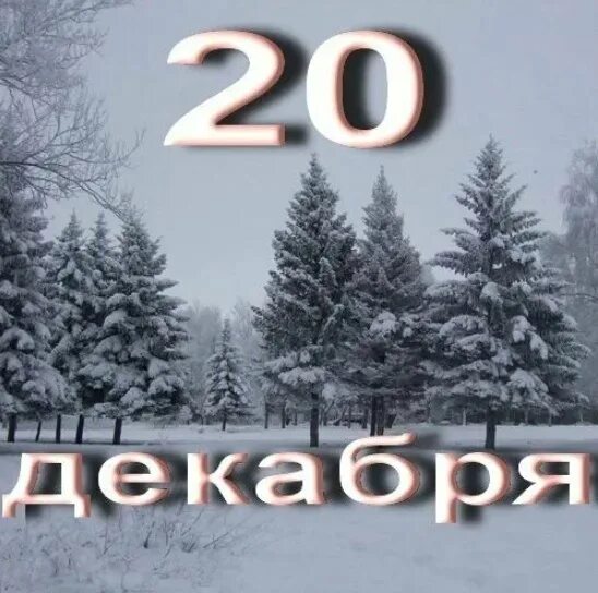 20 декабря 2021 год