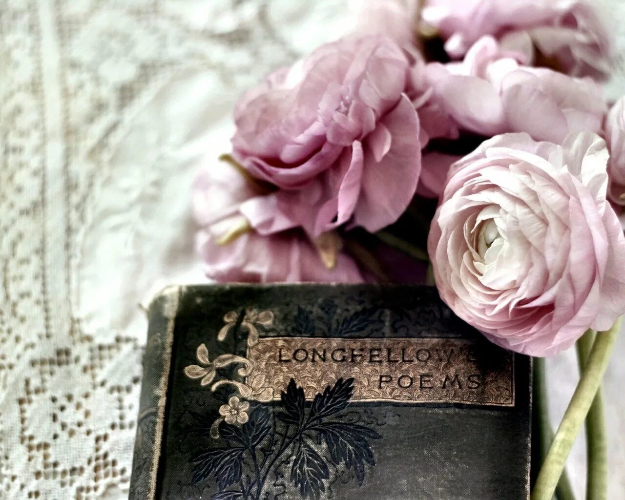 Природа в винтажном стиле. Рабочий стол винтаж. Розы пастельных тонов. Цветы в стиле ретро. Письмо и цветы.