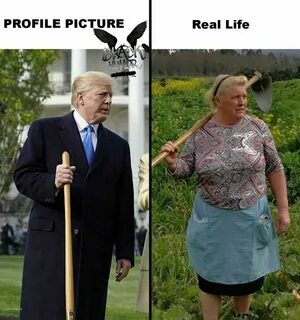 Черный юмор телеграм