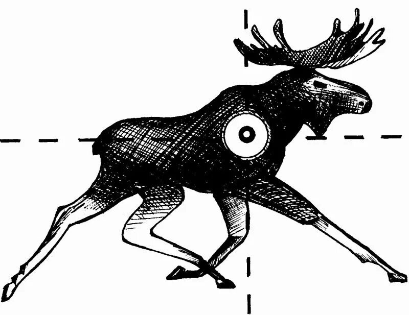 Стреляют лося. Убойные места лося. Схема стрельбы по лосю. Точки прицеливания по лосю. Куда стрелять лося.