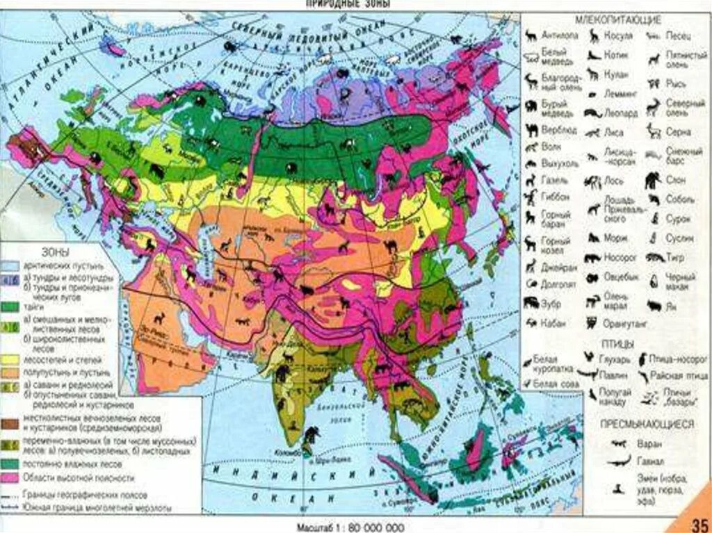 Природные зоны Евразии 7 класс география контурные карты. Атлас 7 класс география Евразия природные зоны. Природные зоны на материке Евразия на карте. Карта природных зон Евразии в атласе. В каких природных зонах расположена евразия