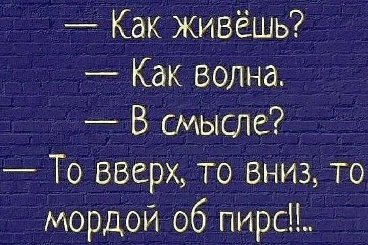Жизнь то вверх то вниз. То вверх то вниз. то вверх то вниз то мордой об пирс. то вверх то вниз прикол. жизнь как океан то вверх то вниз.