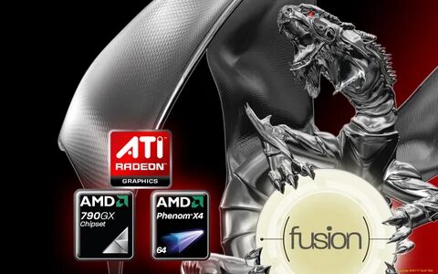 Amd dragon