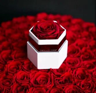Million roses