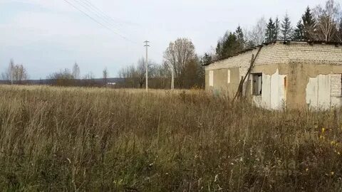 Погода износки калужской