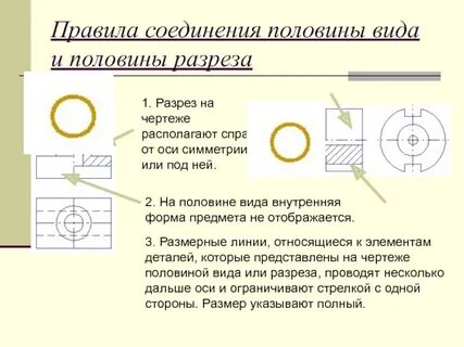 Половины разреза