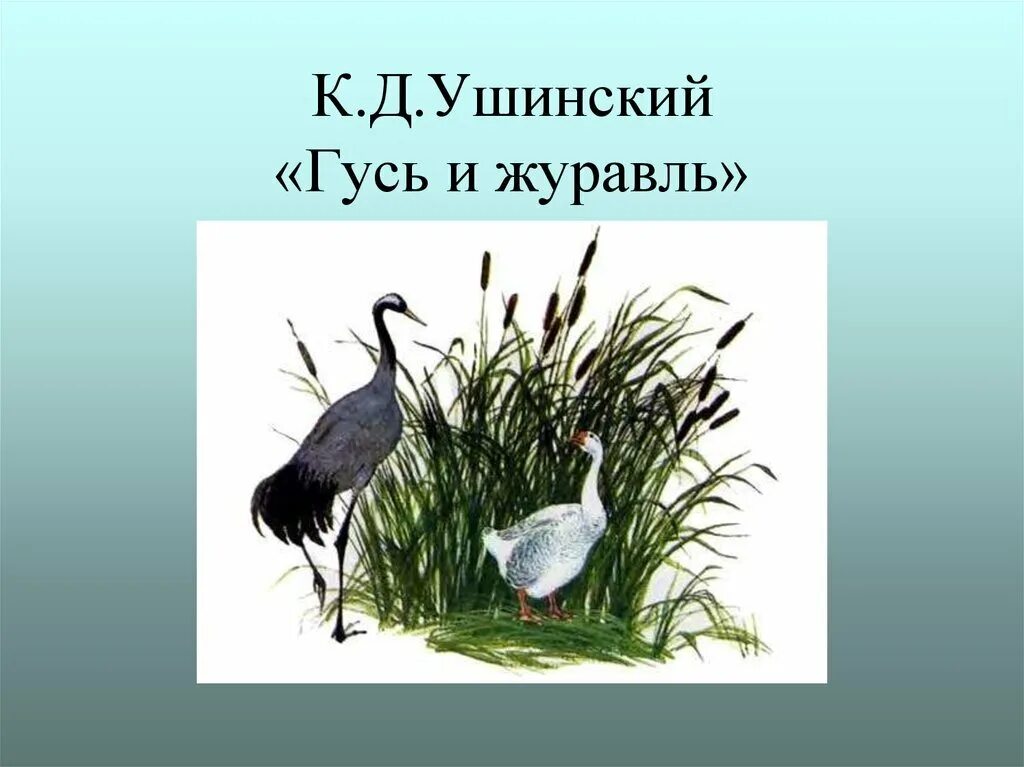 Произведение ушинского гуси. К.Д.Ушинский Гусь и журавль. Гусь и журавль Ушинский. К. Ушинского "Гусь и журавль.