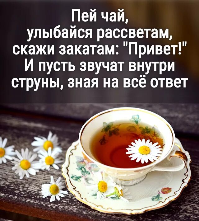 Утром мы наскоро попили чаю. Статусы про чай. Чай пить будем. Открытка чай. Чашечка чая для настроения.