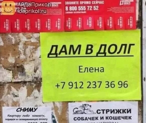 Иваново дам в долг