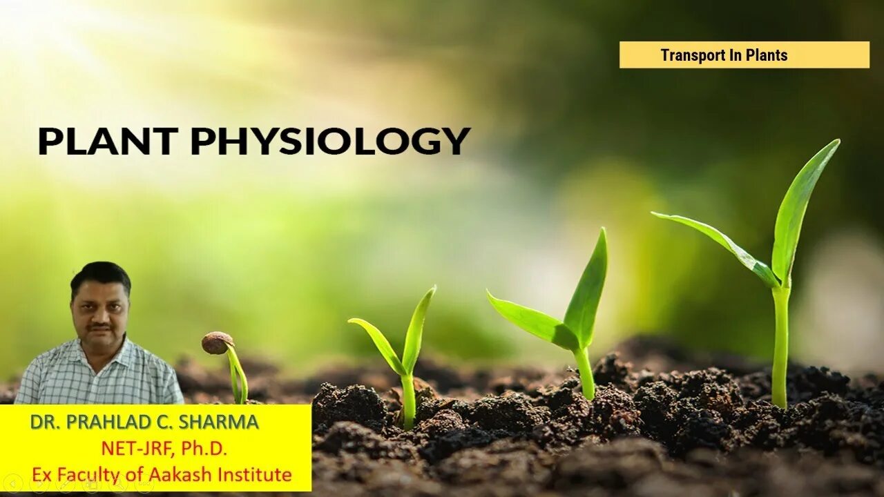 Plant physiology. Физиология растений. Plant Physiology Water. Физиология растений фон.