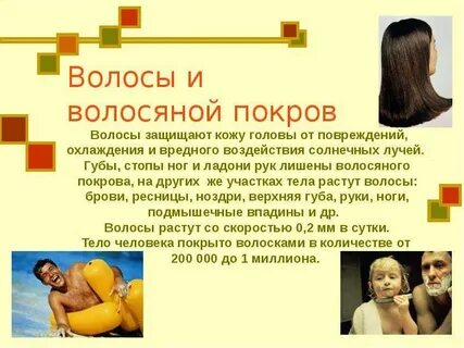 Густой волосяной покров на теле человека