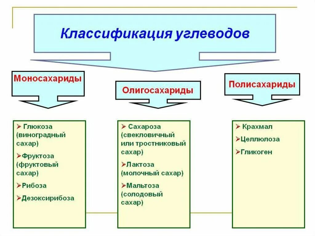 Углеводы к какой группе относится. Классификация углеводов моносахариды олигосахариды полисахариды. Углеводы моносахариды олигосахариды полисахариды таблица. Моносахариды, дисахариды, полисахариды (примеры и функции). Таблица классификация углеводов 10 класс.