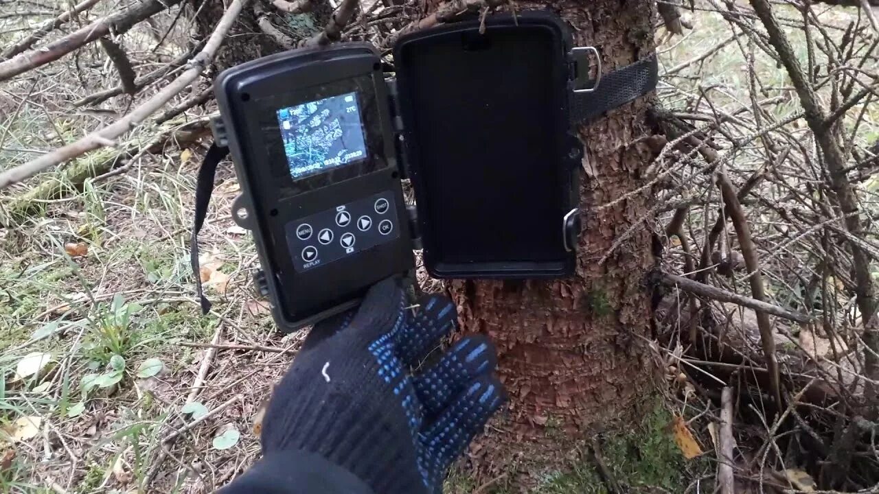Как просмотреть фотоловушку