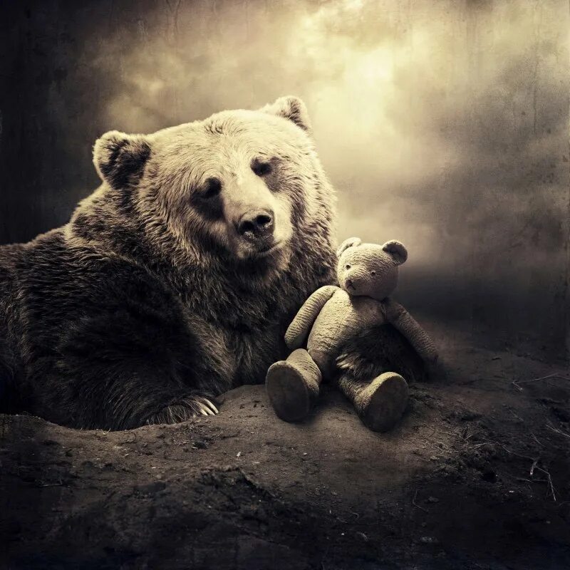 Медведь сюрреализм. Ursus arctos piscator. Bear dreams. Bear dreams. Bear dreams.