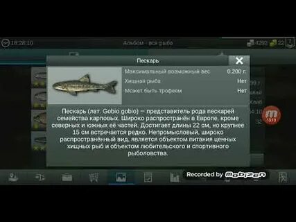 Каменный призрак на что ловить my fishing