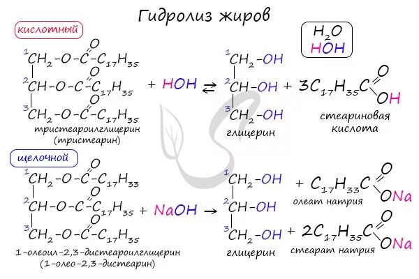 Кислый гидролиз жиров. Кислотный и щелочной гидролиз жиров. Схема щелочного гидролиза жиров. Реакция щелочного гидролиза жиров. Щелочной гидролиз жиров.