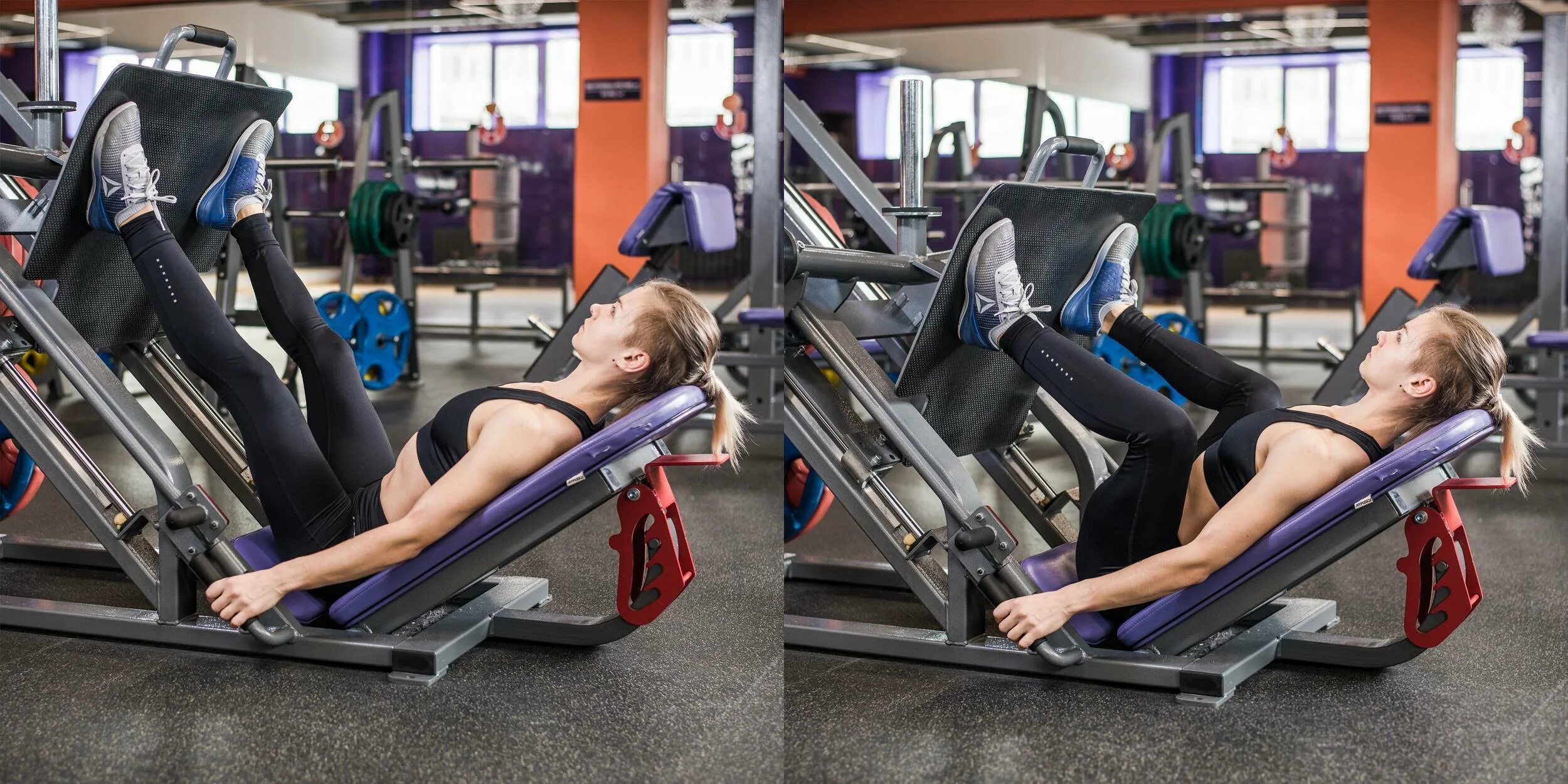 Gym80 sygnum. Жим платформы ногами. Жим ногами лежа на тренажере. Жим платформы тренажер платформы ногами. Жим платформы ногами.