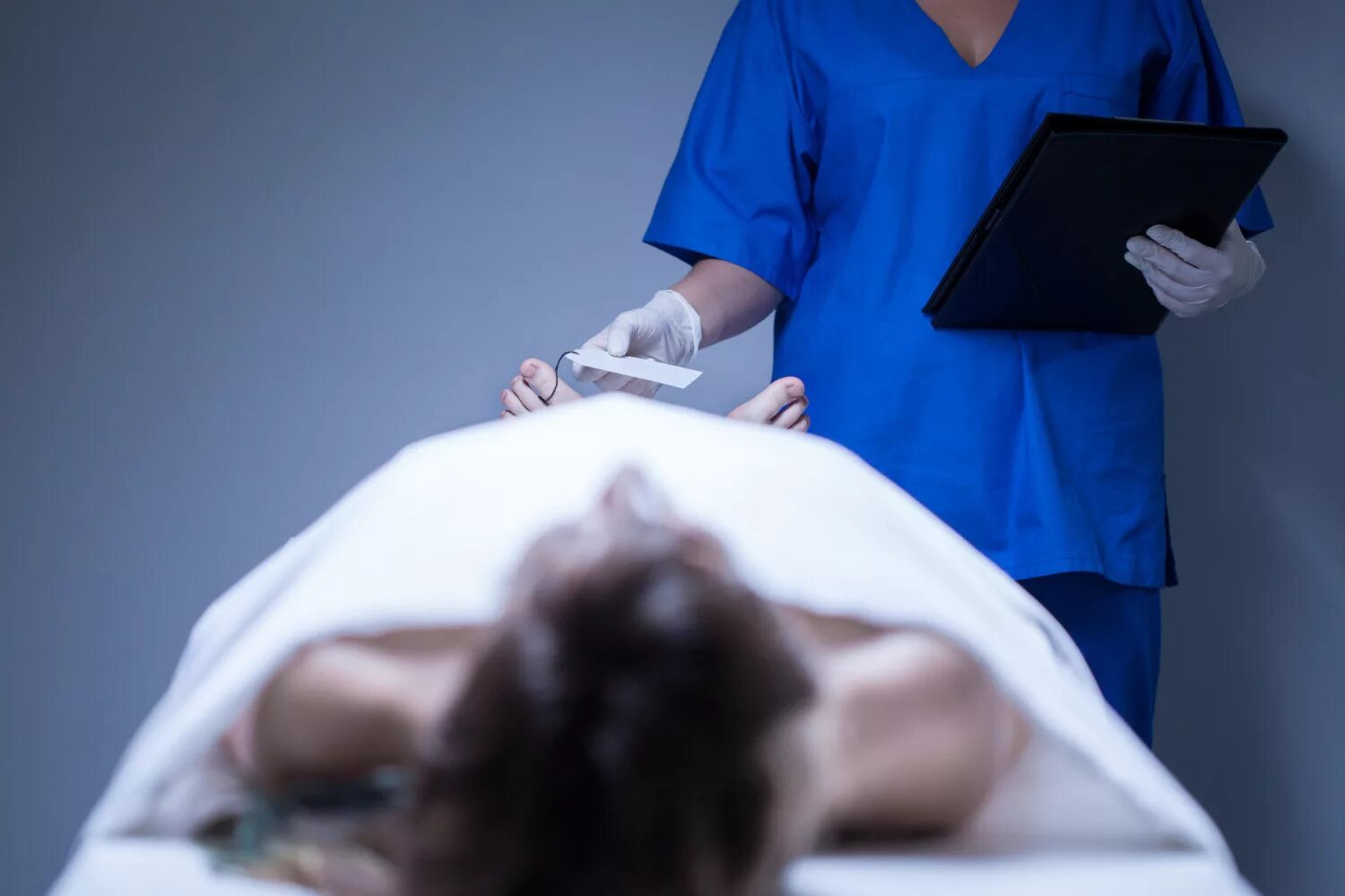 сколько заработают в морге