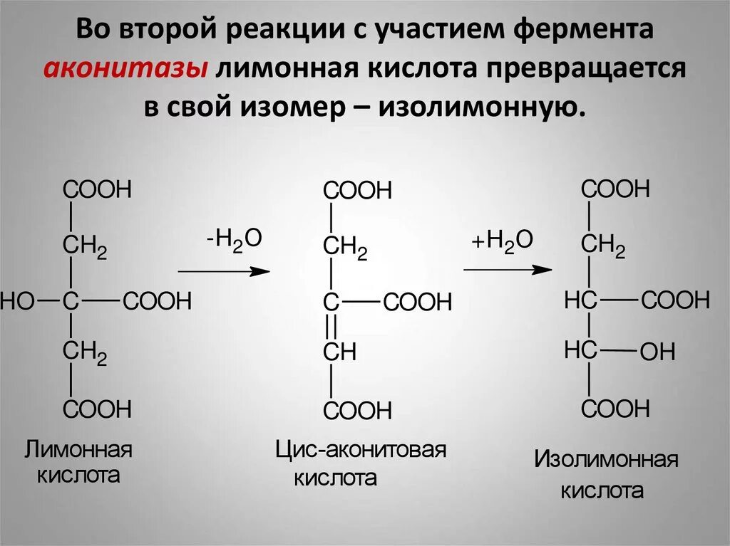 Реакция организма на кислоту. Лимонная кислота аконитовая кислота. Лимонная кислота → изолимонная кислота реакция. Изолимонная кислота стереоизомеры. Лимонная кислота формула Синтез.